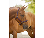 halster Twotone & Crystal