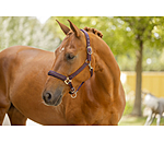 halster Twotone & Crystal