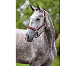 halster Signature III