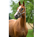 halster Supervoordelig