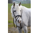 hoofdstel Beauty