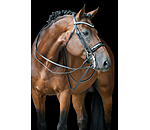 stang hoofdstel Dressage II