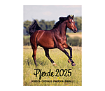 Paardenkalender 2026