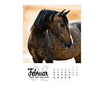 Paardenkalender 2026