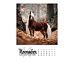 Paardenkalender 2026