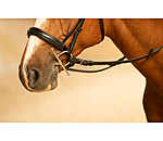 kneveltrens met olijfkop dubbel gebroken 16 mm