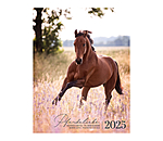 Kalender paardenliefde 2025