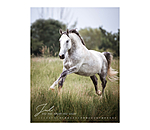 Kalender paardenliefde 2025