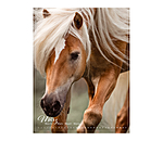 Pony kalender 2025