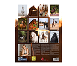 Pony kalender 2025