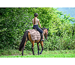 vliegen uitrijdeken Economy Light