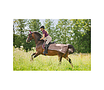 vliegen uitrijdeken Economy Light