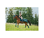 vliegen uitrijdeken Economy Light