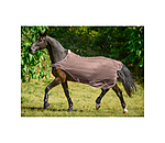 vliegenbeschermende Walker Economy Light