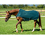 vliegenbeschermende Walker Economy Light