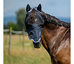 2 in 1 vliegenmasker Sun Shield