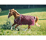 all-weather vliegendeken Perfect Fit