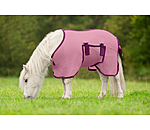 veulen- en minishetland vliegendeken Kubi Fly