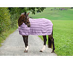 vliegendeken Economy Light