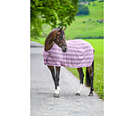 vliegendeken Economy Light