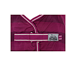 vliegendeken Economy Light