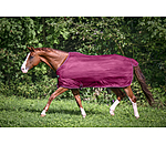 vliegendeken Economy Light