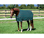 vliegendeken Economy Light