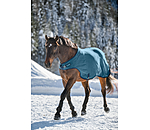 fleece Walker Activity