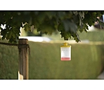 vliegenval FlyCage3