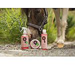 Glitter hoefbalsem Champion