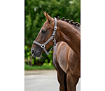 halster supervoordelig II