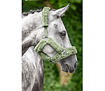 teddyfleece halster Protection
