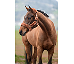 teddyfleece halster Protection