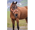 teddyfleece halster Protection