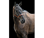 lederen halster Siri