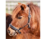 minishetty-, shetty- en pony-lederhalster Sparkle