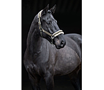 halster Sparkling II