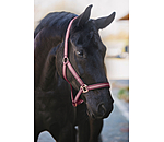 halster Shimmering