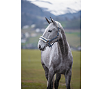teddyfleece halster super voordelig III