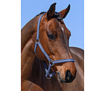 halster Stripes