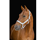 halster Anatomical Relaxation