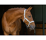 halster Anatomical Relaxation