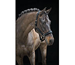 halster Velvet Twinkle