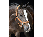 halster Velvet