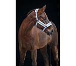 halster Shine
