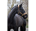 teddyfleece halster