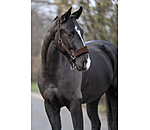 teddyfleece halster