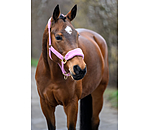 teddyfleece halster