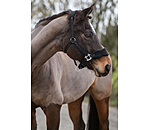 teddyfleece halster