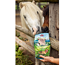 knoflookwonder snoepjes mix